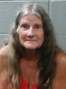 Diane W Phillips mugshot