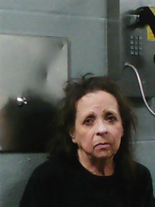 Caren Hawkins mugshot