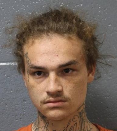 Mugshot of Gibson Bray