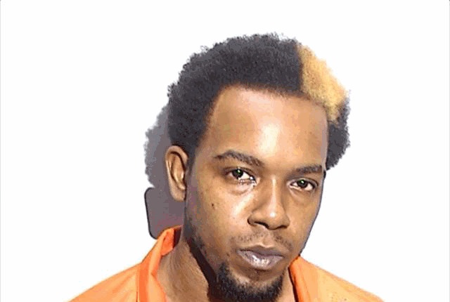 HOLSTON DARRELL LAKEITH JR mugshot