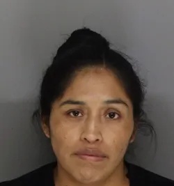 Marta Mejia mugshot
