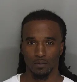 Michael Wright mugshot