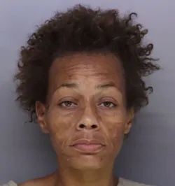 Monika Scott mugshot