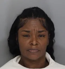 Stephanie Dangerfield mugshot