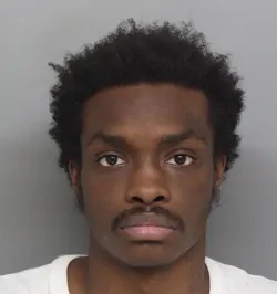 Talib Palmer mugshot