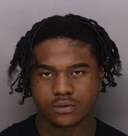 William Martin mugshot