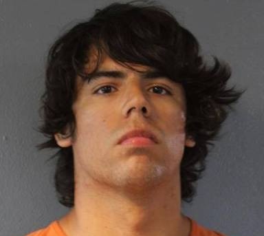 Mugshot of Ian Cole