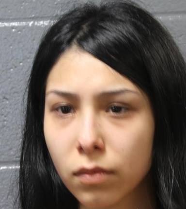 Mugshot of Idali Viezcas