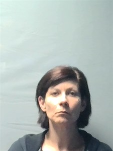 Mindy Anne Wells mugshot