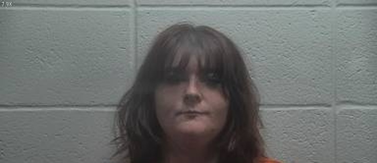 Iva Wells mugshot