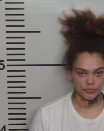 JAELYN ANN MARTIN mugshot