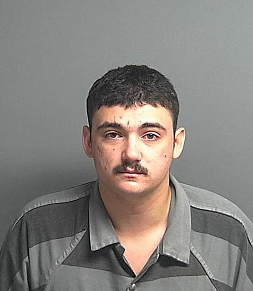 JOHNSON BRAYDEN ANTHONY mugshot