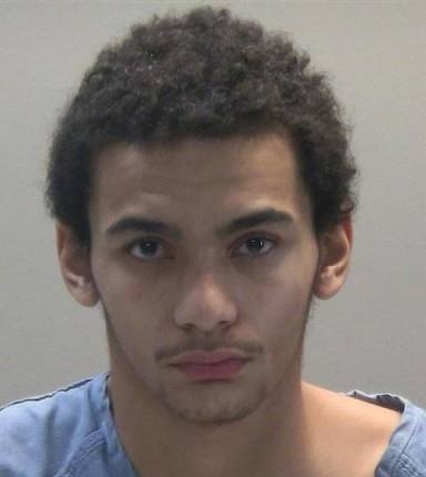 Jamari McGraw mugshot