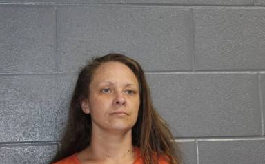 Jessica McNiel mugshot