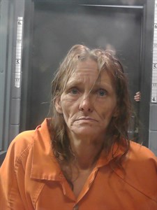 Rhonda Johnson mugshot