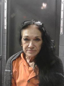 Rhonda GAIL PIERCEFIELD mugshot