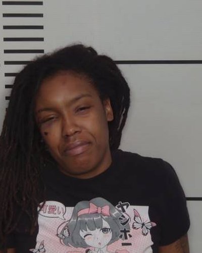 KRISTIANA L SIMON mugshot