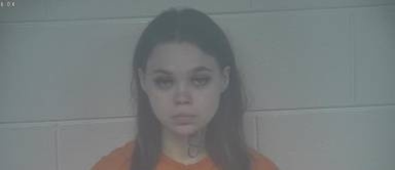 Katherine Sullivan mugshot