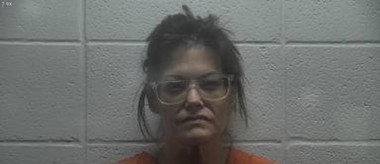 Kristin Harbison mugshot