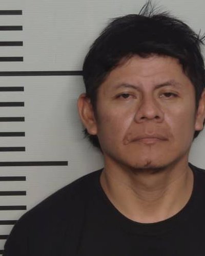 LLANOS M LINARES mugshot