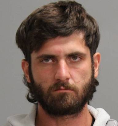 Laurel Brownlee mugshot