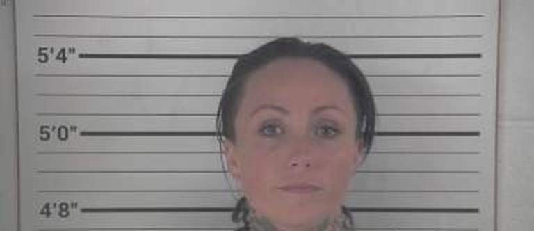 Lauren Avery mugshot