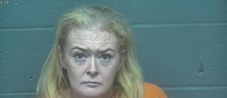 Mugshot of Leslee James