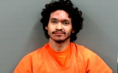 Levi Hankins mugshot