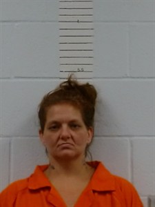 Briana Hawkins mugshot