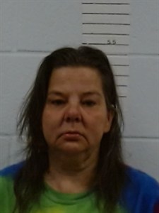 Amy Nicole Mckenzie mugshot