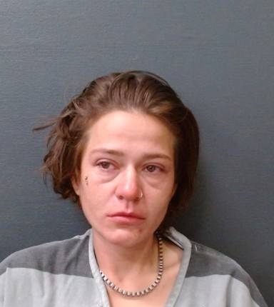 Lindsey Fremault mugshot