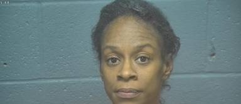 Mugshot of Lisa Hill