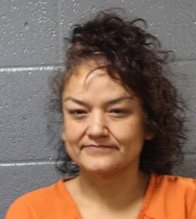 Mugshot of Lisa Johnson