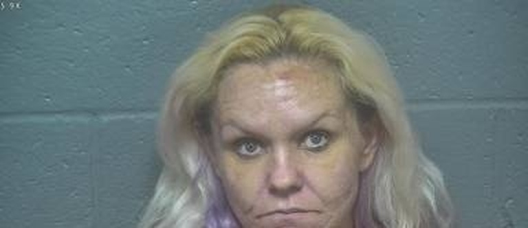 Mugshot of Lisa Nolan