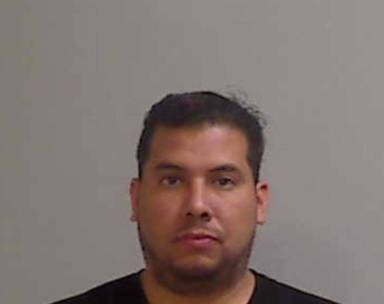 Luis Mejia mugshot