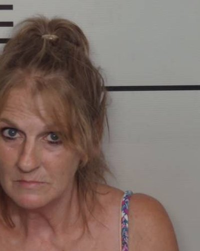 MARY LAVONNE HOPPES mugshot