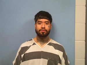 Jose Francico Flores mugshot
