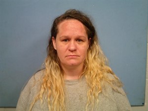 Meagan Rose Wilson mugshot