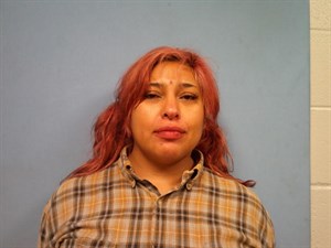 Michelle Christine Rogers mugshot