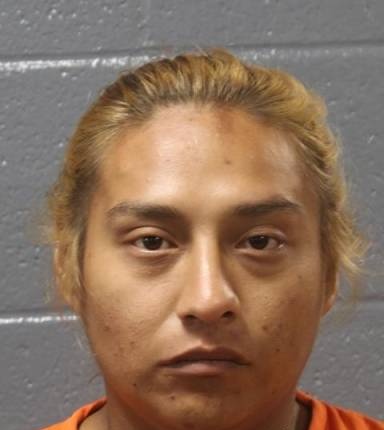 Mugshot of Marie Prince