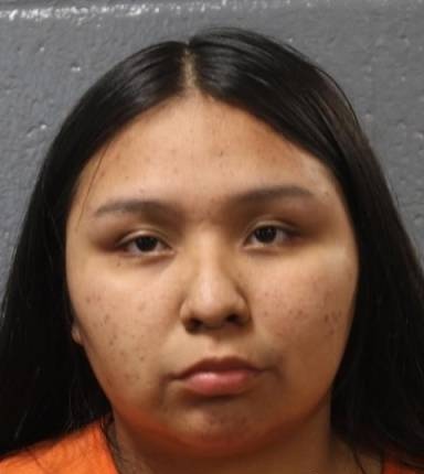 Mugshot of Marisa Ellison