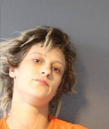 Mugshot of Megan Plaskett