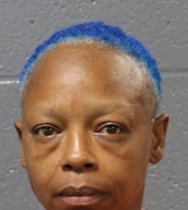 Mugshot of Melina Bush