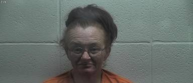 Melissa Lyons mugshot