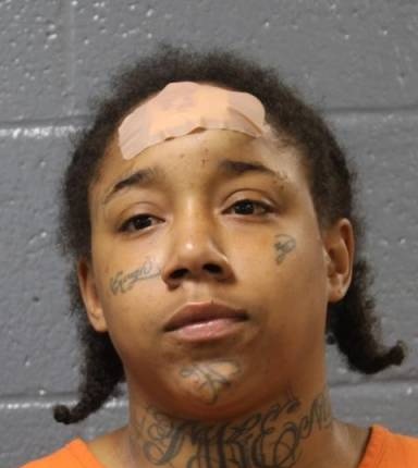 Mugshot of Merlena Ellis