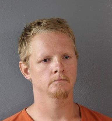 Mugshot of Michael Brown