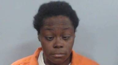 Michele Wilson mugshot