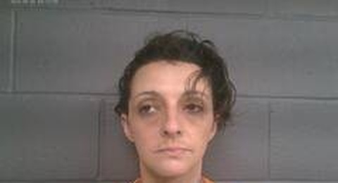 Michelle Perryman mugshot