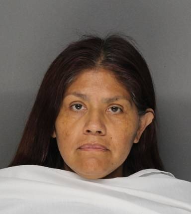 Monica Castillo mugshot