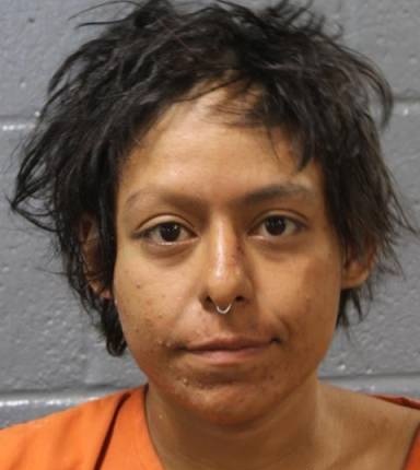 Mugshot of Natalie Mendoza